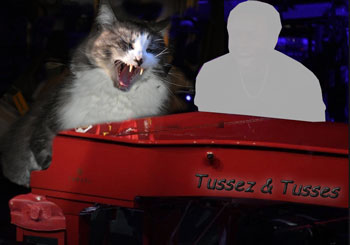 Tusse Mello 2021